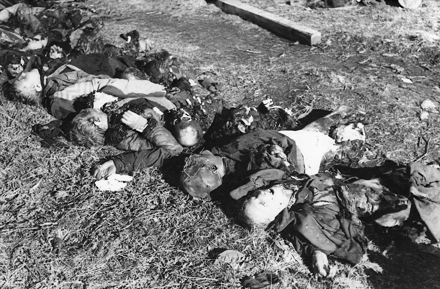 Corpses_found_at_Klooga_concentration_camp_02